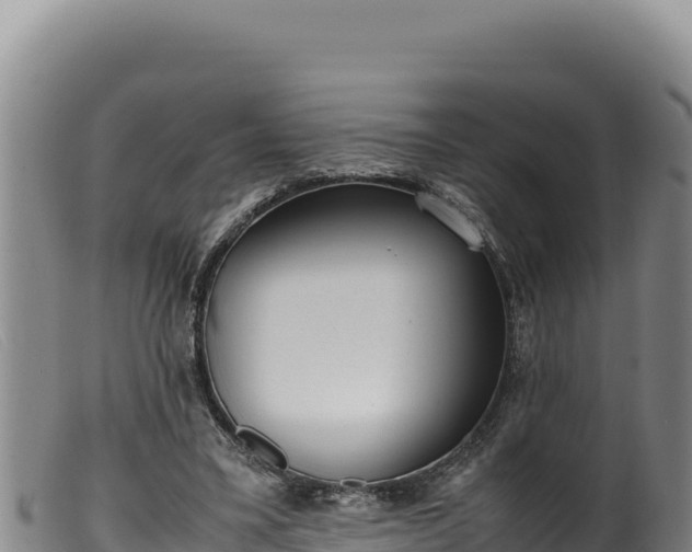 X0000099550395200805231156