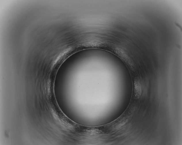 X0000099550396200805231156