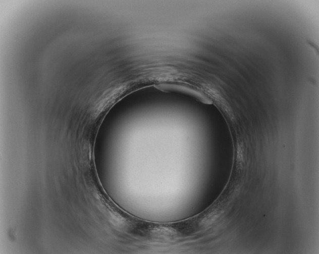 X0000099550397200805231156