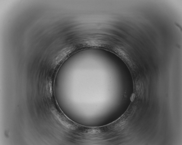 X0000099550398200805231156