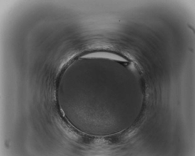 X0000099550399200805231156