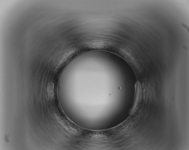 X0000099550400200805231156