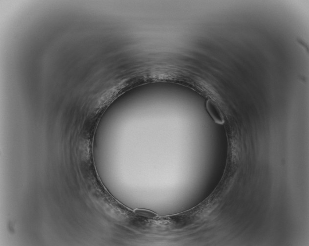 X0000099550401200805231156