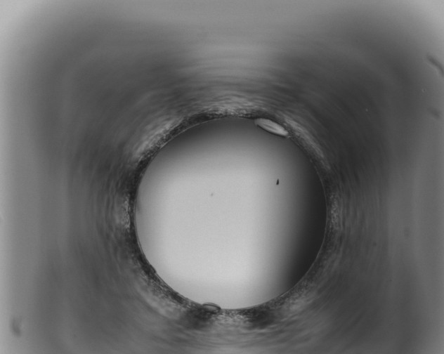 X0000099550403200805231156