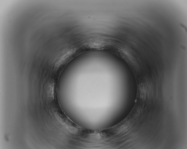 X0000099550404200805231156