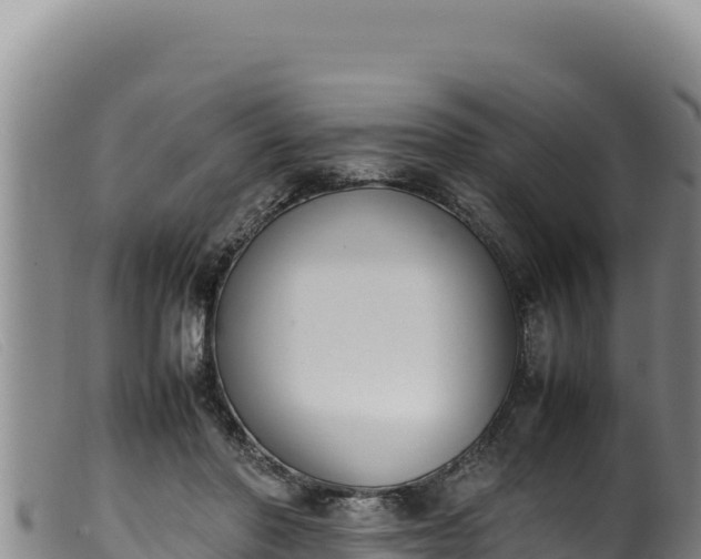 X0000099550406200805231156