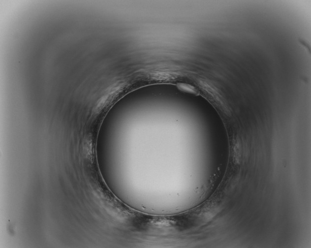 X0000099550407200805231156