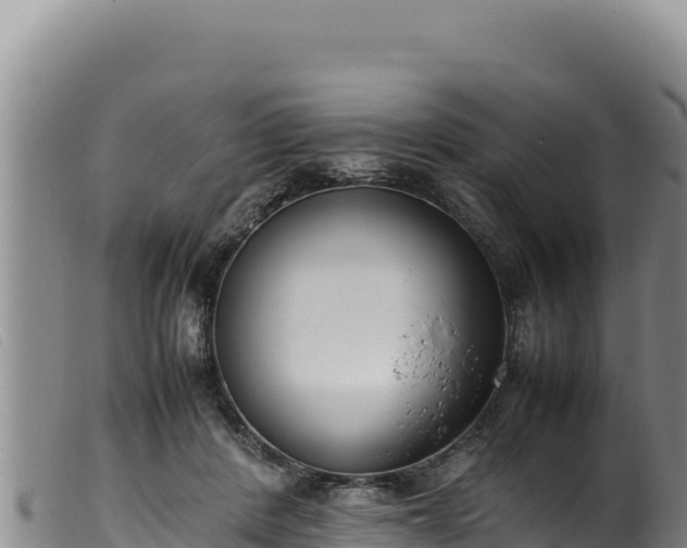 X0000099550408200805231156