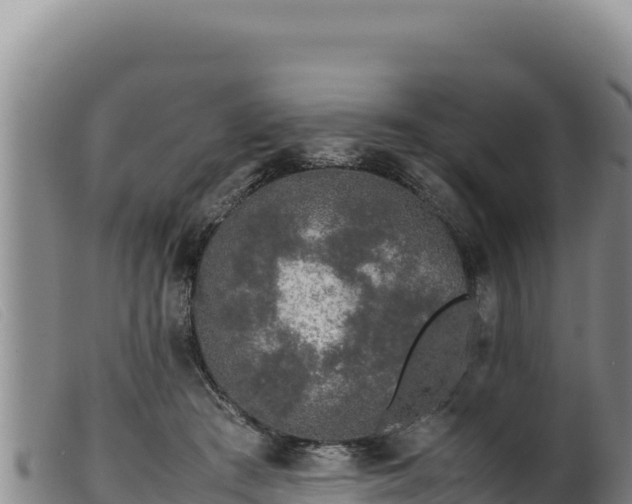 X0000099550409200805231156