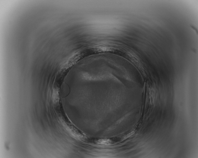 X0000099550410200805231156