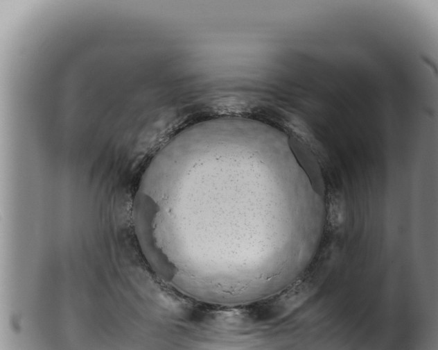 X0000099550411200805231156