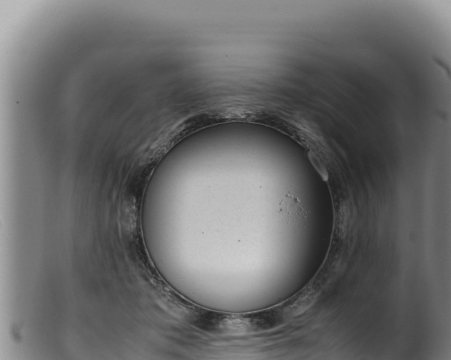 X0000099550413200805231156