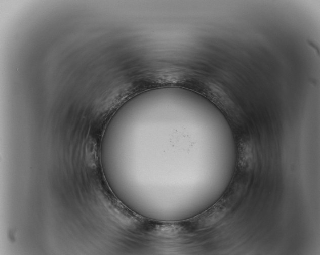 X0000099550414200805231156