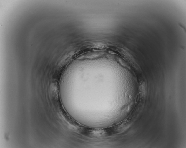 X0000099550415200805231156