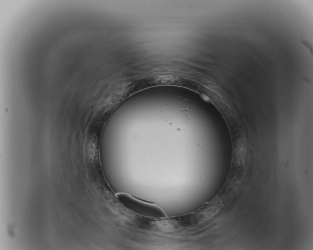 X0000099550417200805231156