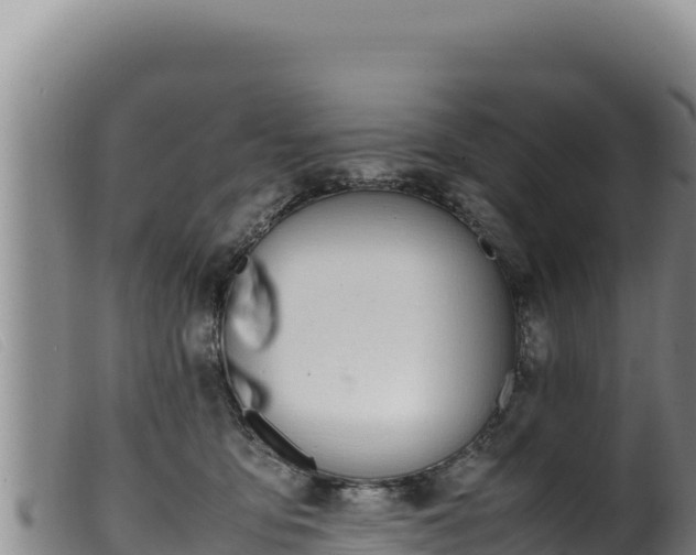 X0000099550419200805231156