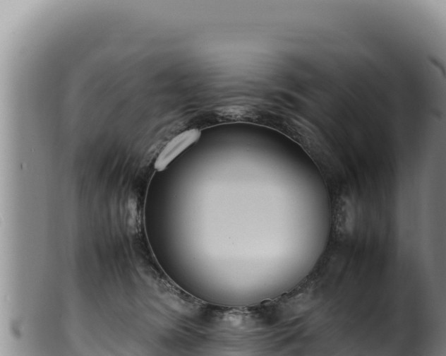 X0000099550420200805231156