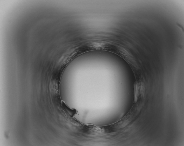 X0000099550421200805231156