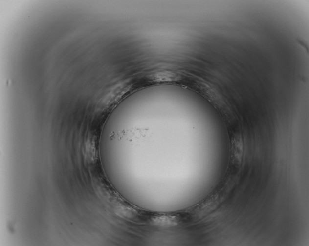 X0000099550422200805231156