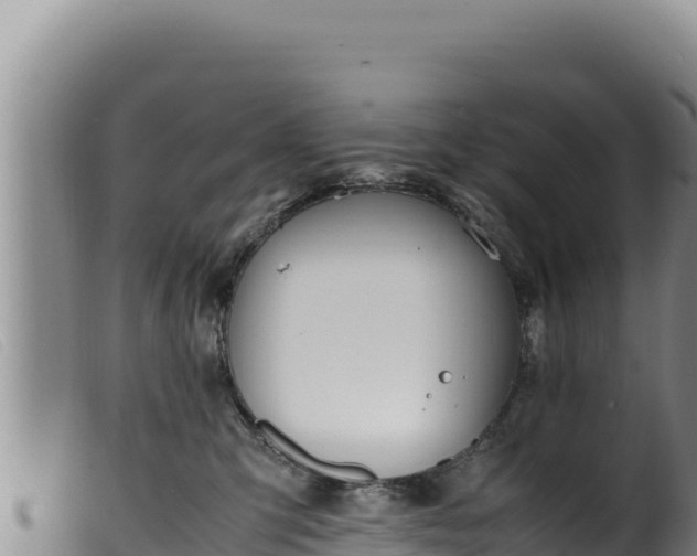 X0000099550423200805231156