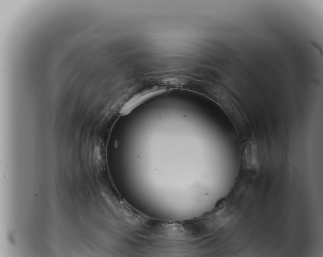 X0000099550424200805231156