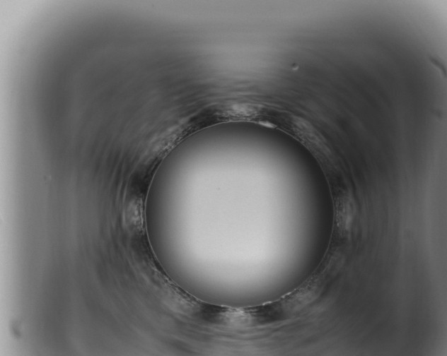 X0000099550425200805231156