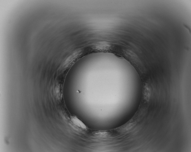 X0000099550428200805231156