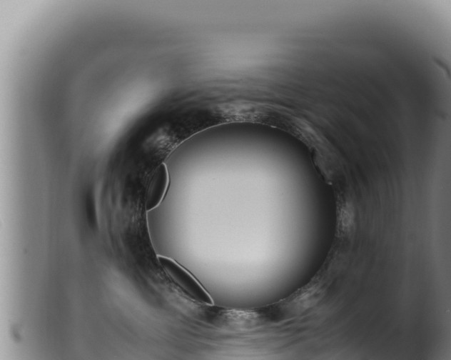 X0000099550429200805231156