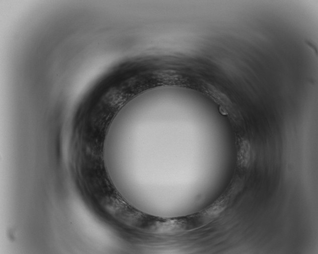 X0000099550430200805231156