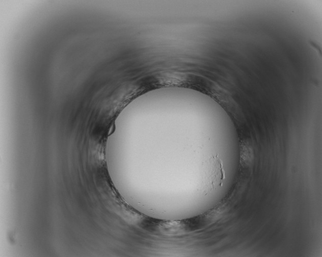 X0000099550431200805231156