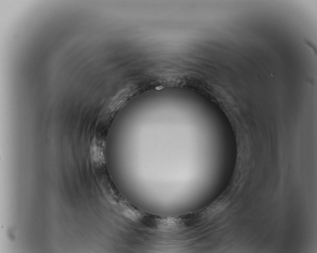 X0000099550432200805231156