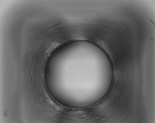 X0000099550433200805231155