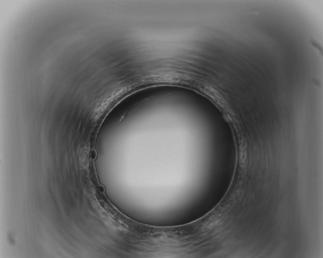 X0000099550434200805231155