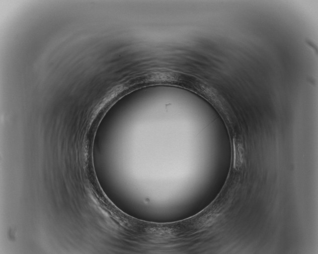 X0000099550435200805231155