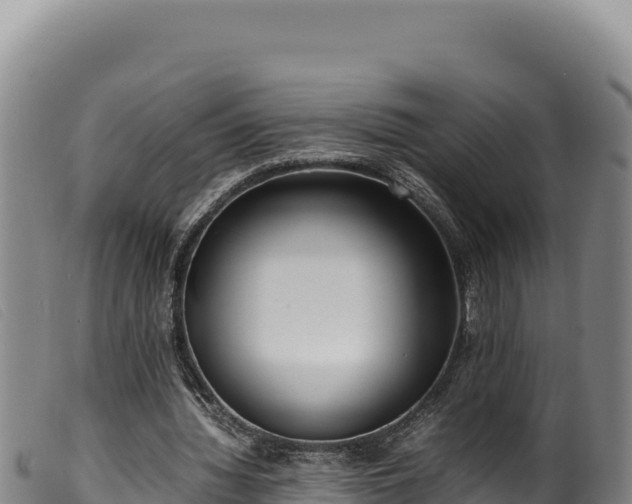 X0000099550436200805231155