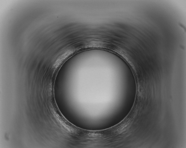 X0000099550437200805231155