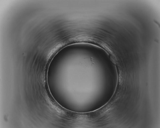 X0000099550438200805231155