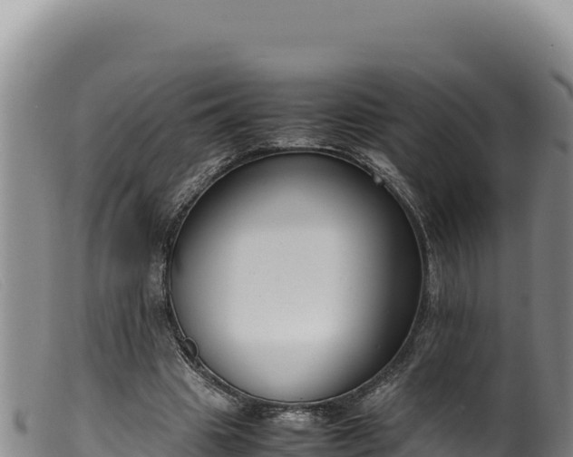 X0000099550441200805231155