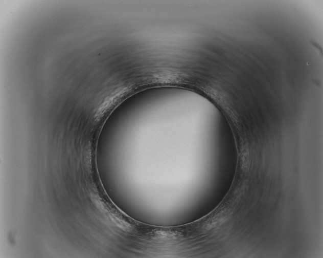 X0000099550442200805231155