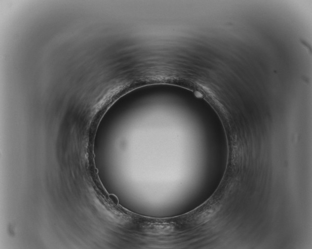 X0000099550443200805231155