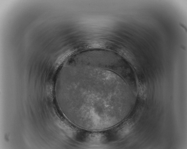 X0000099550444200805231155