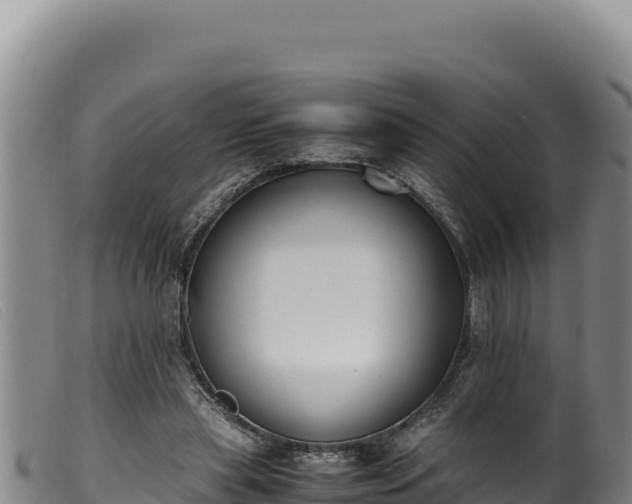 X0000099550445200805231155