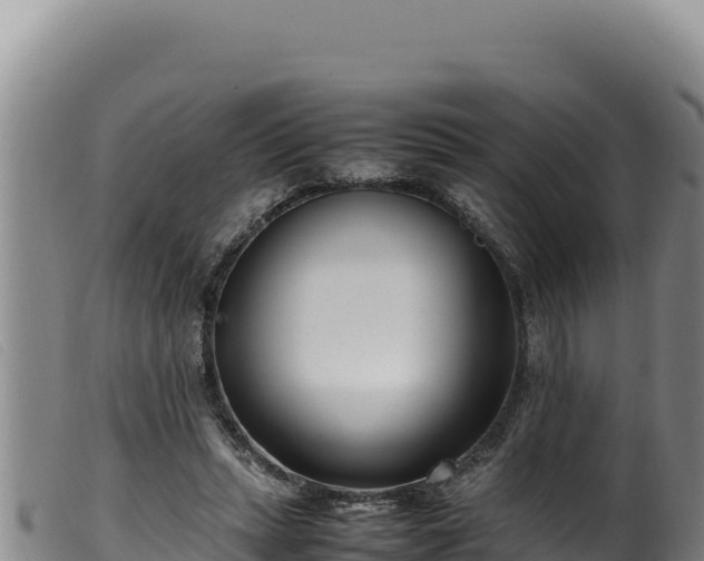 X0000099550447200805231155