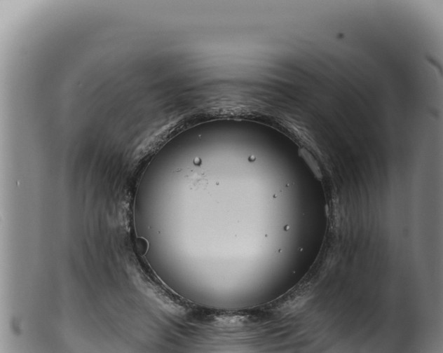 X0000099550450200805231155