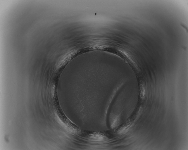 X0000099550451200805231155