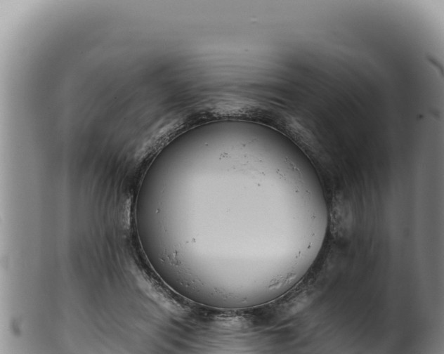 X0000099550454200805231155