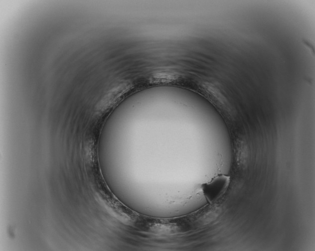 X0000099550455200805231155