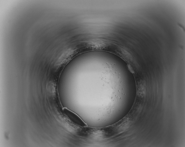 X0000099550456200805231155