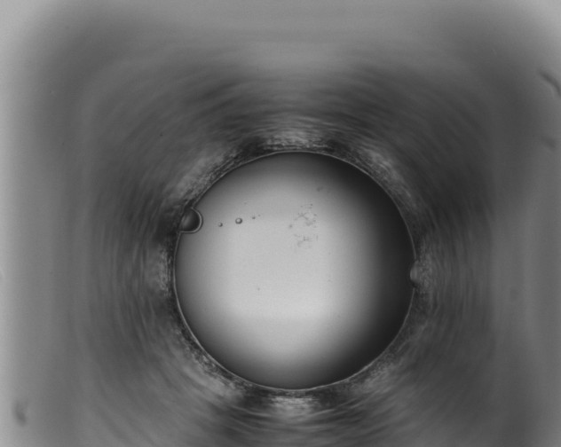 X0000099550457200805231155