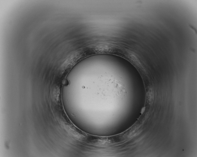 X0000099550458200805231155